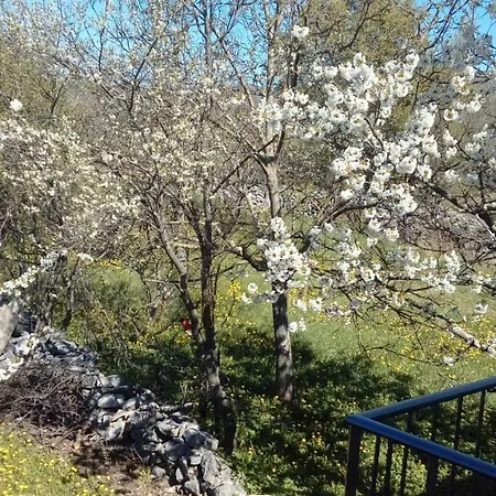 Antonia & Arian * Roc